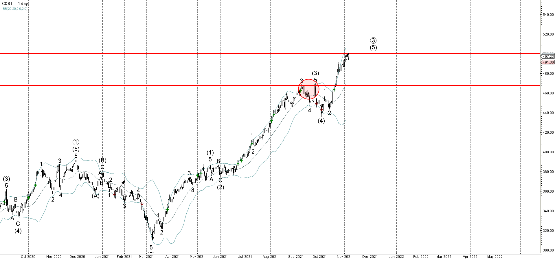Costco растет внутри импульсных волн 3 и (5)